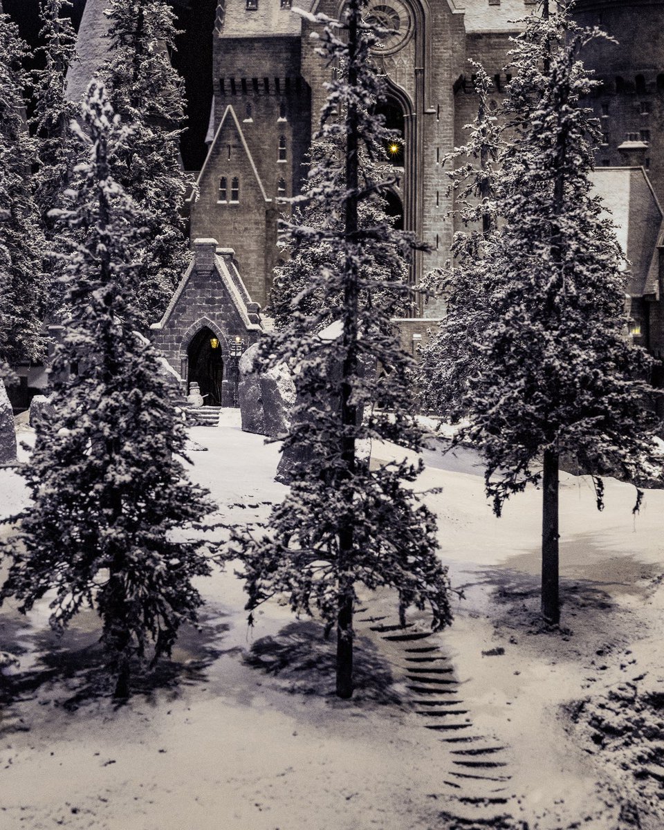 HPotterUniverse's tweet image. It’s the most wonderful time of the year!