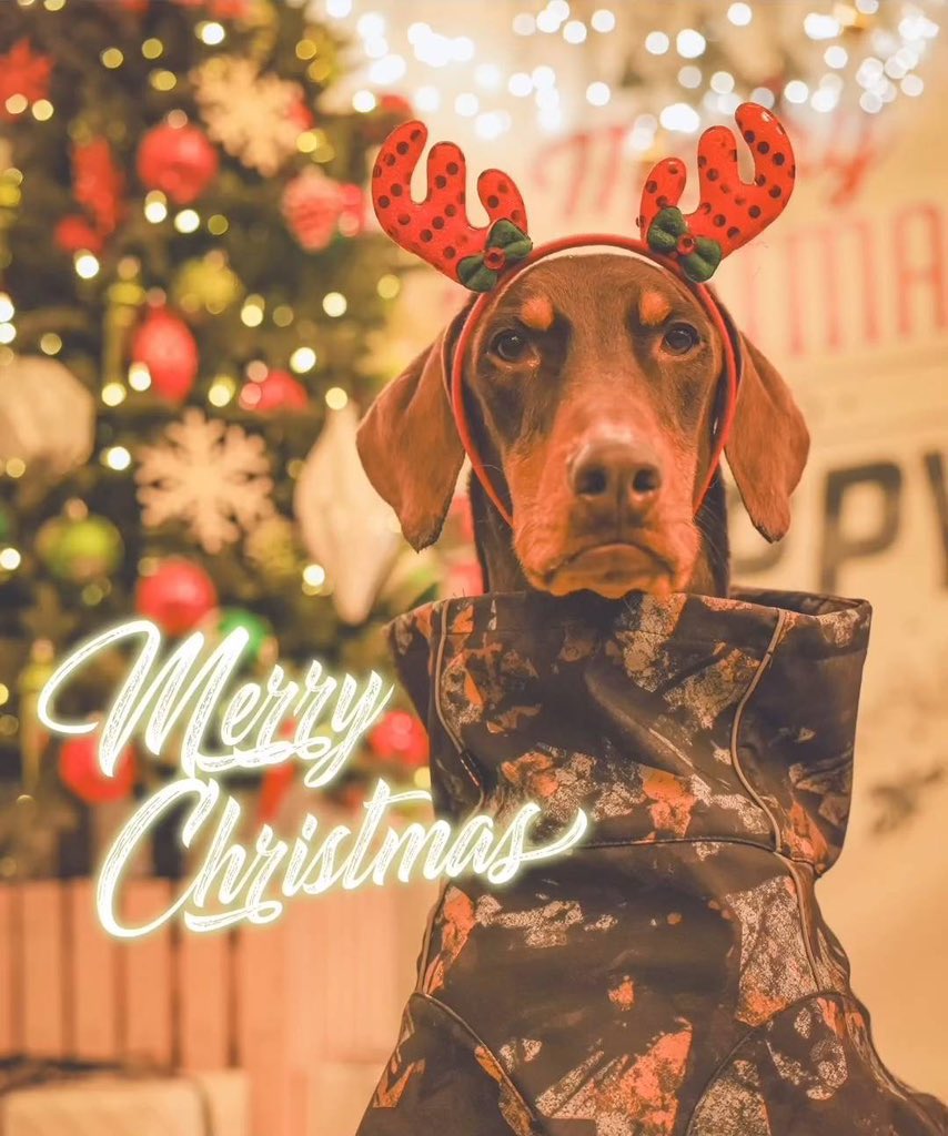 apoapo8059's tweet photo. น้องพัมมี่แต่งชุดหล่อมา merry christmas คุนย่าฮับ 🎄☃️🎊🎉 https://t.co/zwfwLM76BV