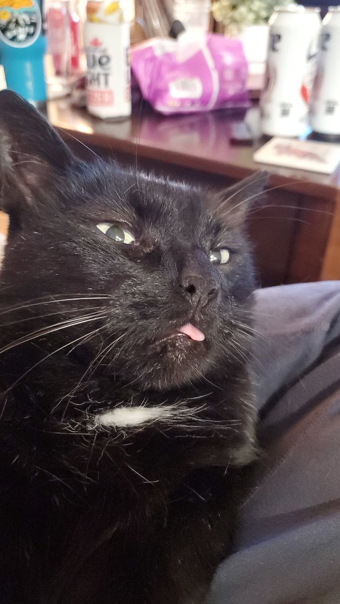 Luke Charland tweet media