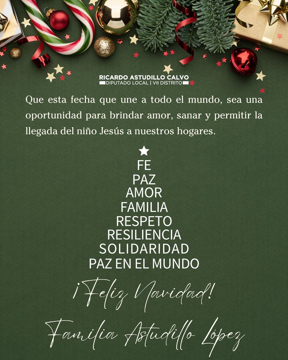 Ricardo Astudillo Calvo tweet media
