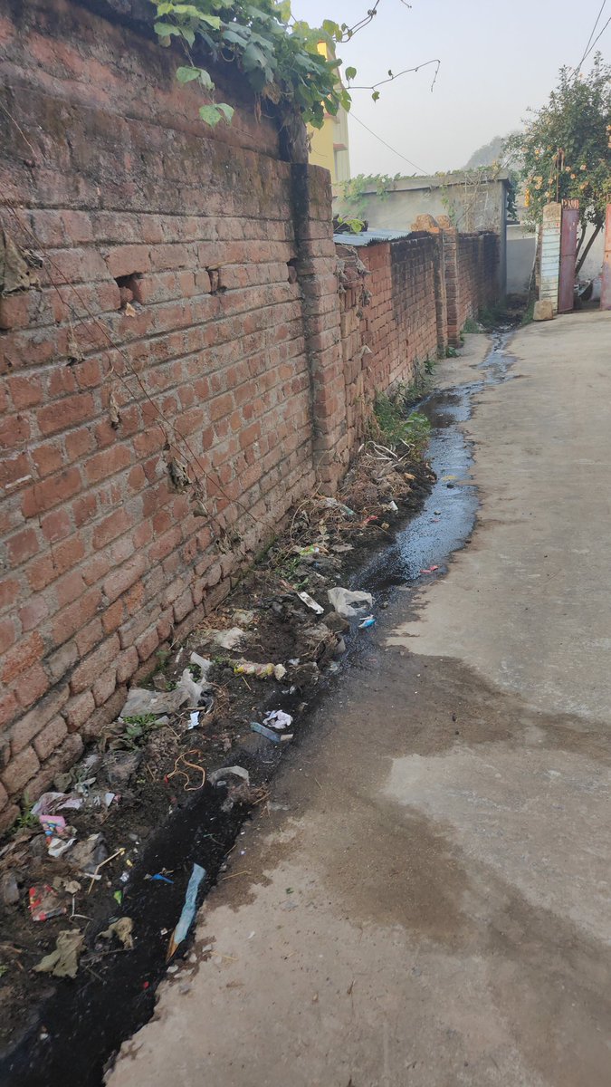 SomenathTi58494's tweet photo. This is the filth of our locality. Which is there since last 6 years.. we all have been troubled by its cure.. we have also had to face diseases like malaria, dengue etc. in the face of these filth.. Sir I  request  please come to our locality  and do something.
@Dist_Admin_Jmt https://t.co/zFbqGwT6jD