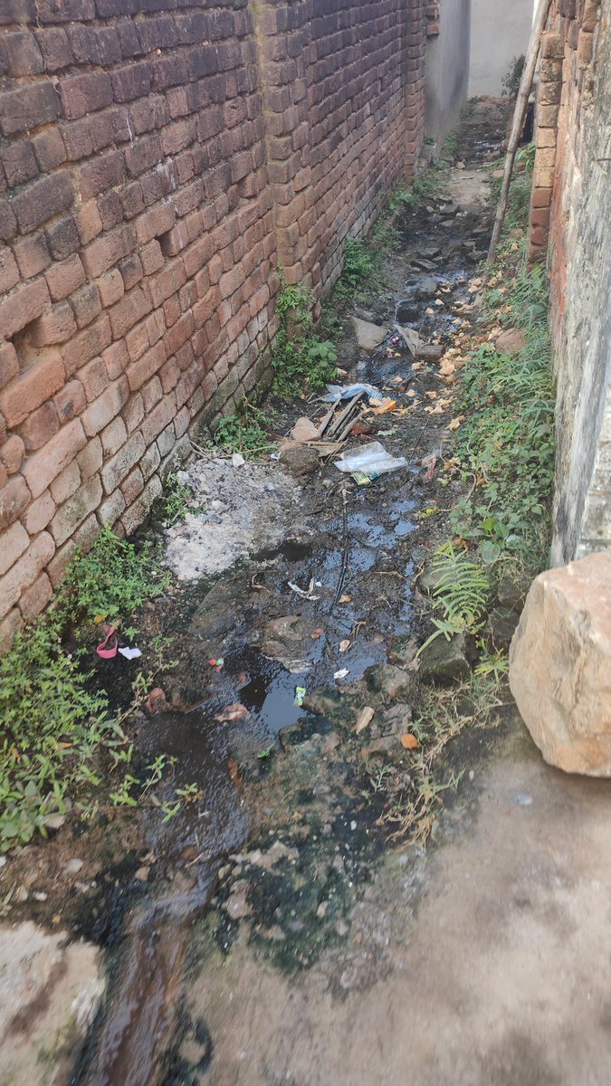 SomenathTi58494's tweet photo. This is the filth of our locality. Which is there since last 6 years.. we all have been troubled by its cure.. we have also had to face diseases like malaria, dengue etc. in the face of these filth.. Sir I  request  please come to our locality  and do something.
@Dist_Admin_Jmt https://t.co/zFbqGwT6jD