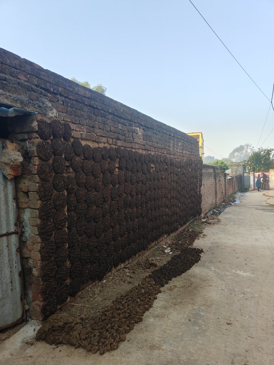 SomenathTi58494's tweet photo. This is the filth of our locality. Which is there since last 6 years.. we all have been troubled by its cure.. we have also had to face diseases like malaria, dengue etc. in the face of these filth.. Sir I  request  please come to our locality  and do something.
@Dist_Admin_Jmt https://t.co/zFbqGwT6jD