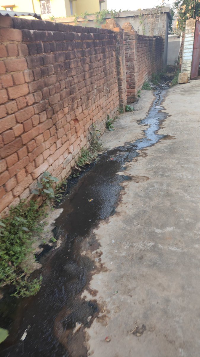 SomenathTi58494's tweet photo. This is the filth of our locality. Which is there since last 6 years.. we all have been troubled by its cure.. we have also had to face diseases like malaria, dengue etc. in the face of these filth.. Sir I  request  please come to our locality  and do something.
@Dist_Admin_Jmt https://t.co/zFbqGwT6jD