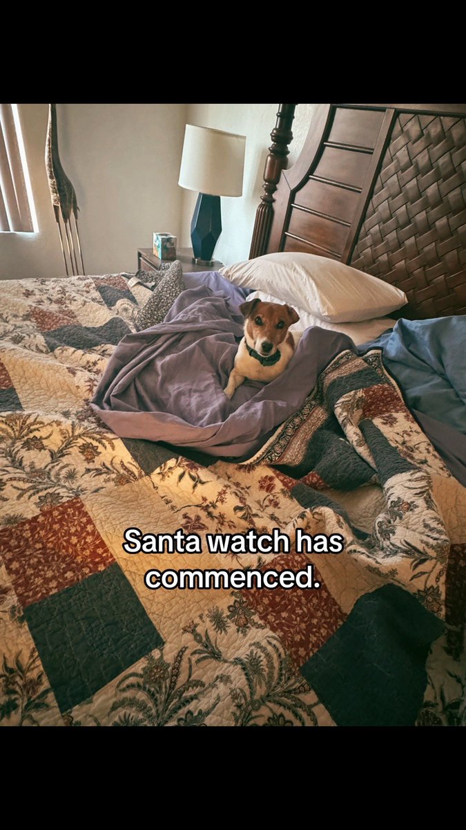 quesarahsings's tweet image. #christmassurprise #jrt #whatisit