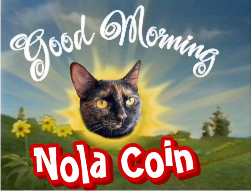 Sputnico1's tweet photo. @KongBTC GM from @NOLA_Coin 
Say it back! https://t.co/h8vQrkzkIP
