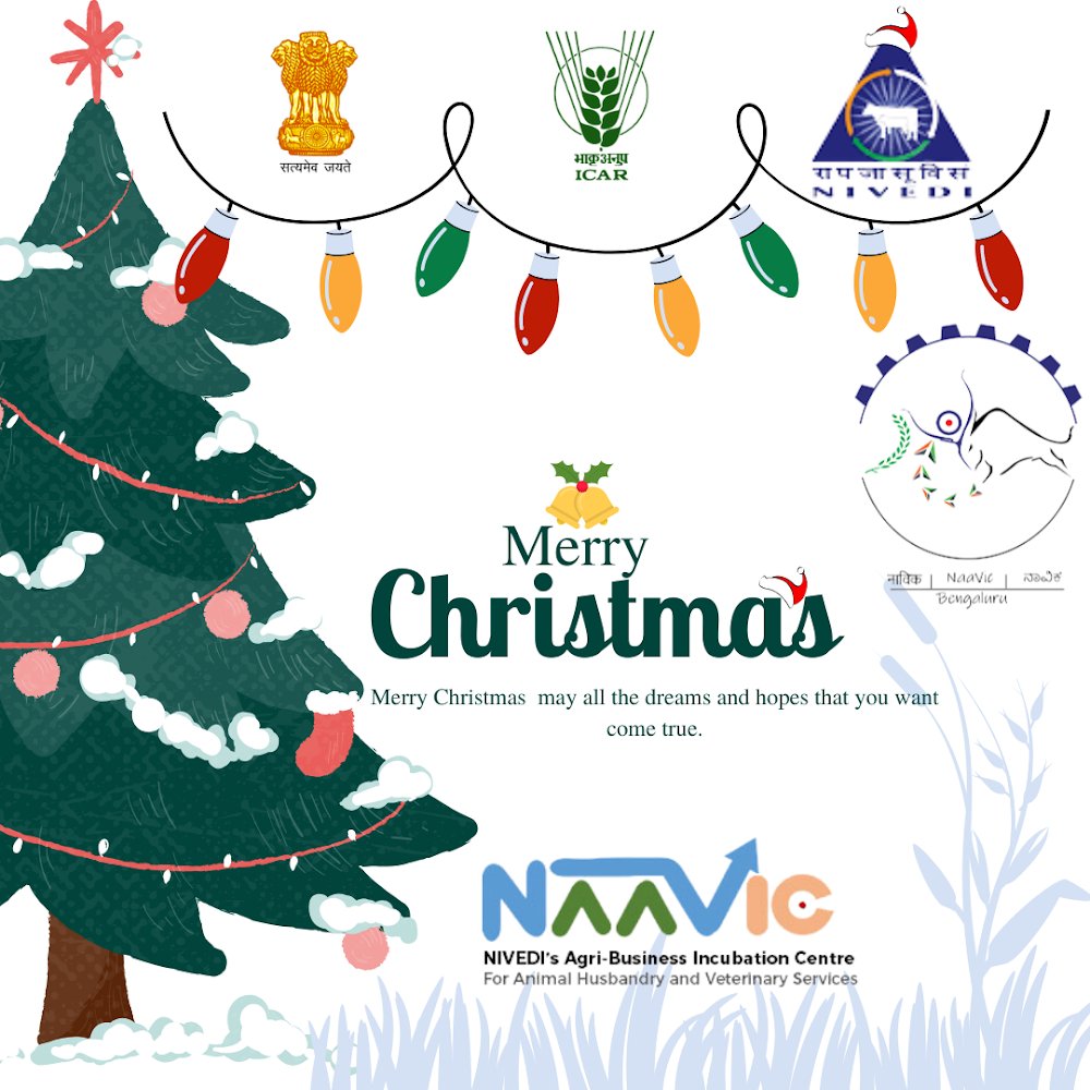 NaaViC wishes everyone a Merry Christmas🧑🏻‍🎄🎄❄️