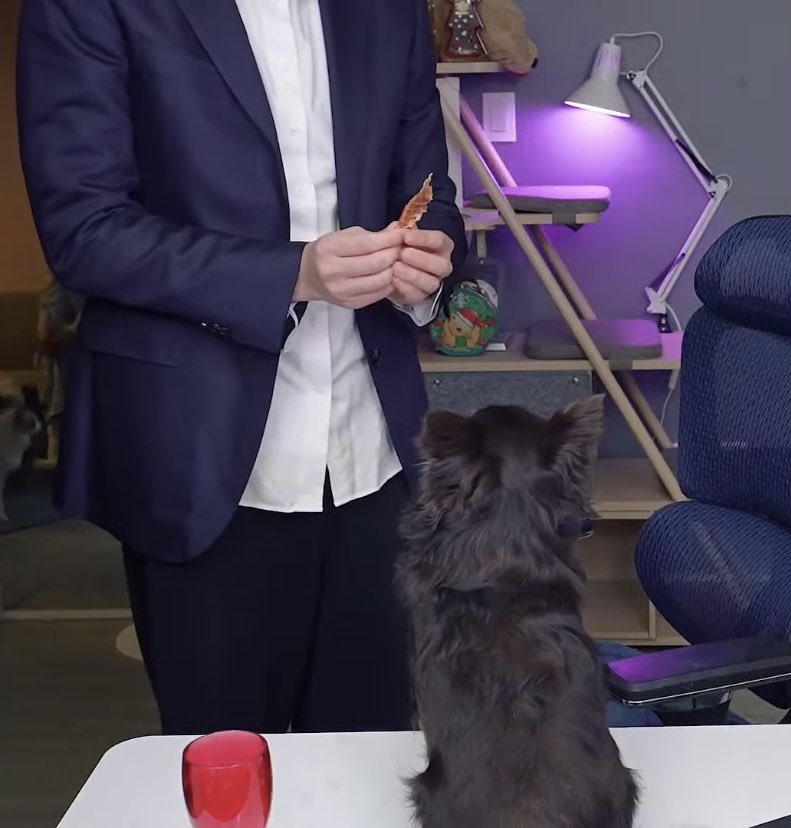 hsmw6 (@hsmw66) on Twitter photo 