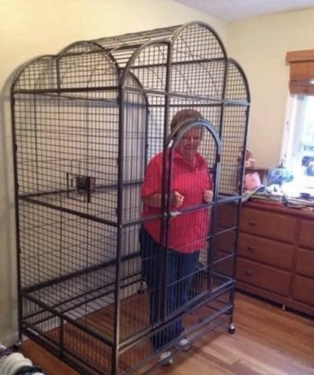 MileHighMims's tweet photo. Granny stays in the cage til the Broncos score a touchdown https://t.co/IQ2ygeBlhg