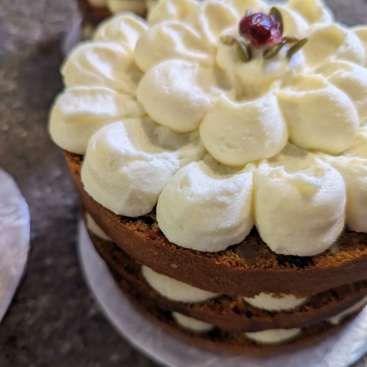 FinalKingdomXV's tweet photo. Carrot cake. Tried Hanbit Cho's recipe. Cake has cranberries, walnuts, &amp; sunflower seeds. #BakingAssistantPocketIgnis #BakingAssistantTreyClover #nofilter #carrotcake https://t.co/9ZL12ZHlDi