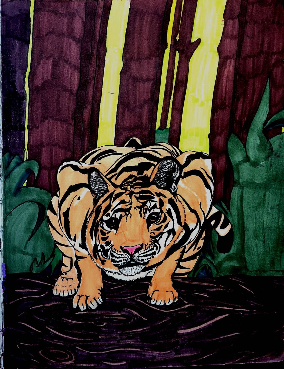 Foxhh_Art's tweet photo. My first tiger drawing vs my latest https://t.co/4Kr4JXw7Xl