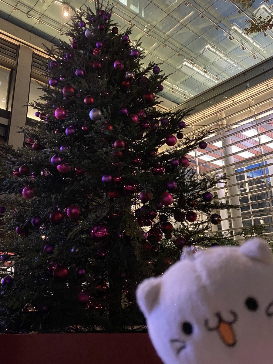 BELLUNA_'s tweet photo. メリークリスマス８９🎁

#bellunyamerrychristmaschallenge100 #bmcc100 https://t.co/hINXQJ951l