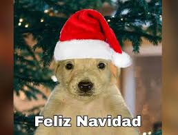chavez93134's tweet photo. Feli Navia gente https://t.co/yTT6bHkMgc