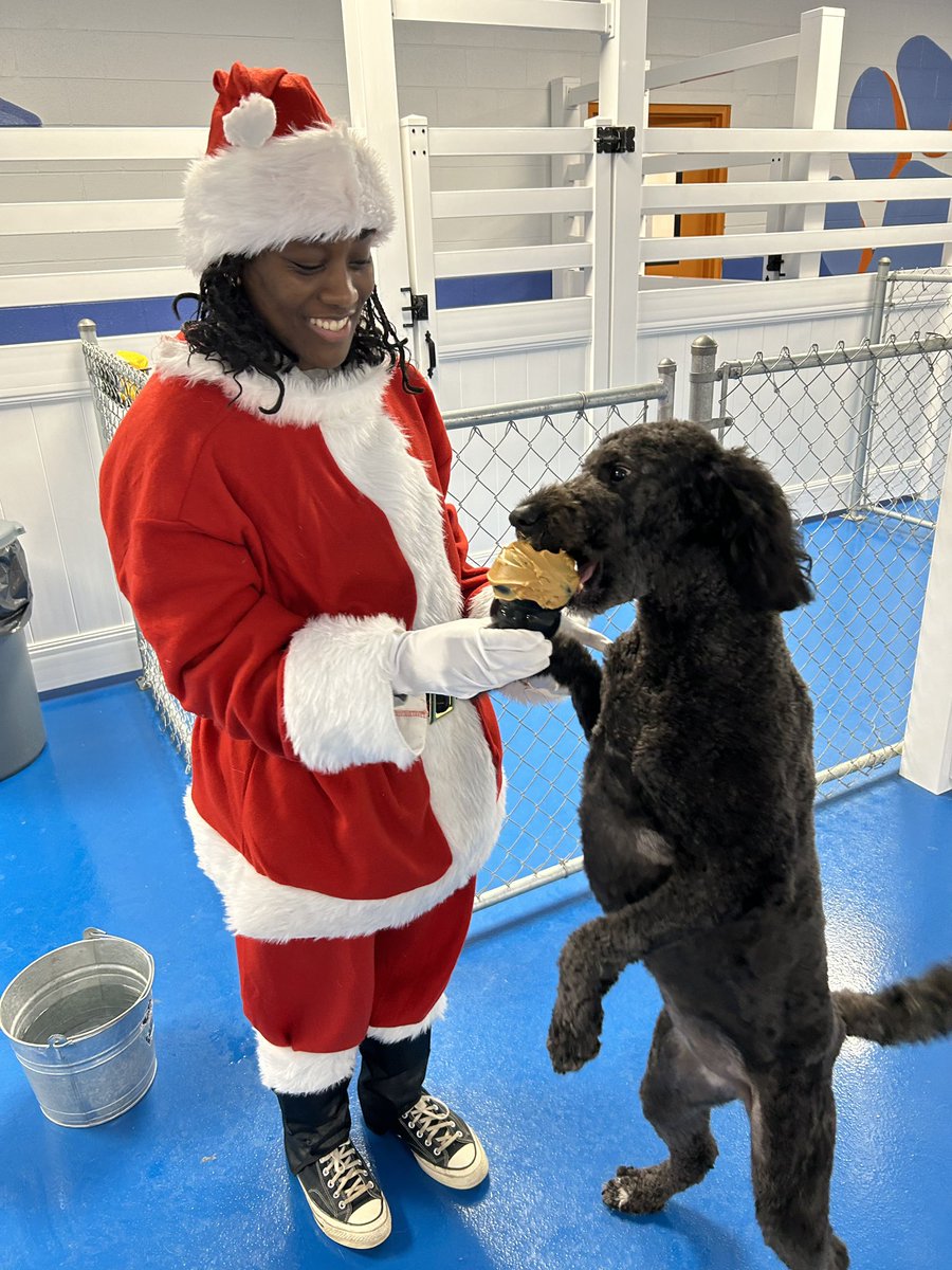 ‘Twas the night before Christmas, before our pups were snug in their beds, St. Nicholas visited with milk &amp; cookies and scratches for their heads! 🐶🎅🎄 Merry Christmas Eve! #santapaws