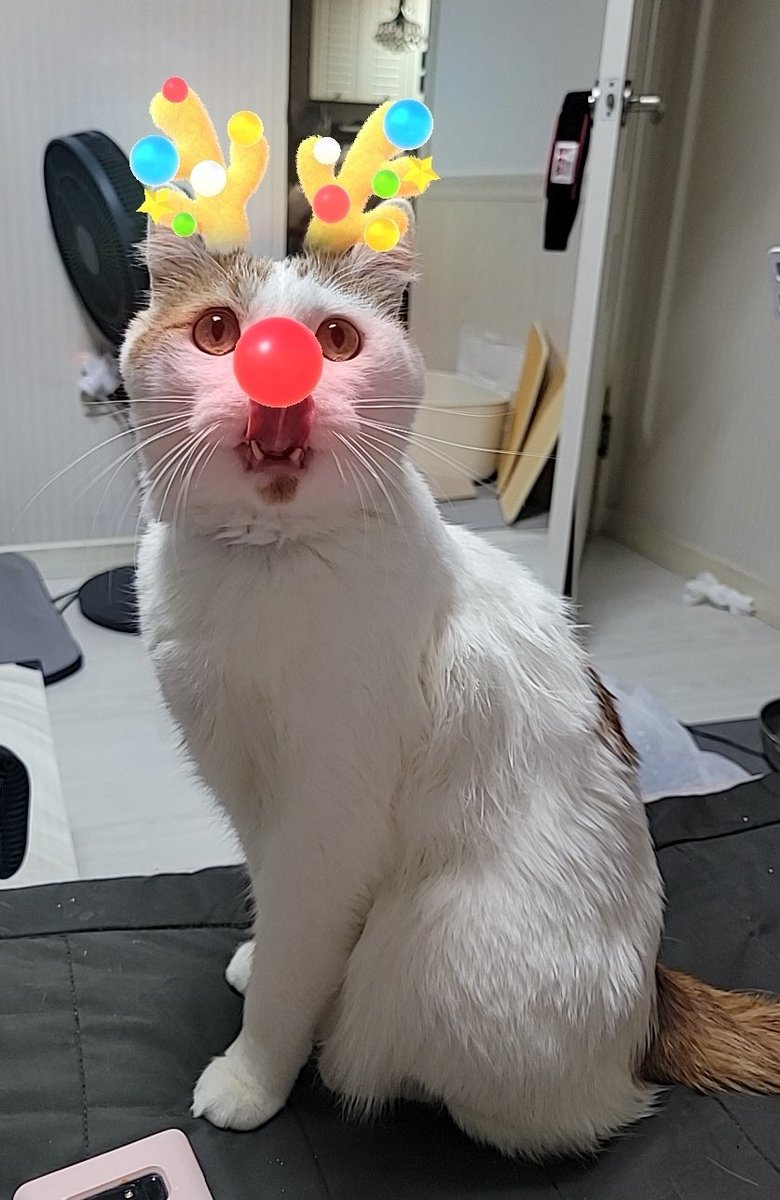 🎄메리 우주선이마스🌟