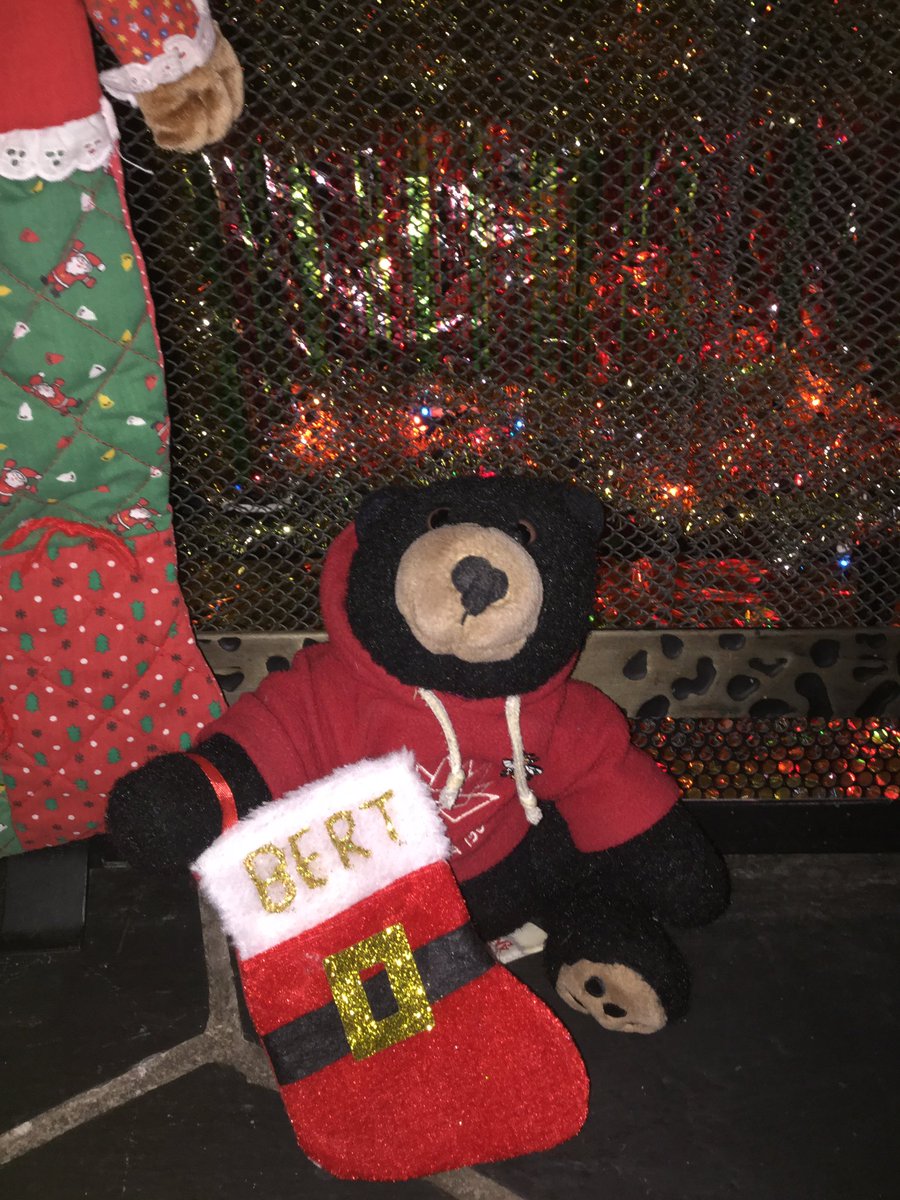 BestAlertBert's tweet image. Hanging my stocking by the fire and hoping #FatherChristmas brings me lots of honey!  #MerryChristmas to all!!! 🐻🍯🎅🌲