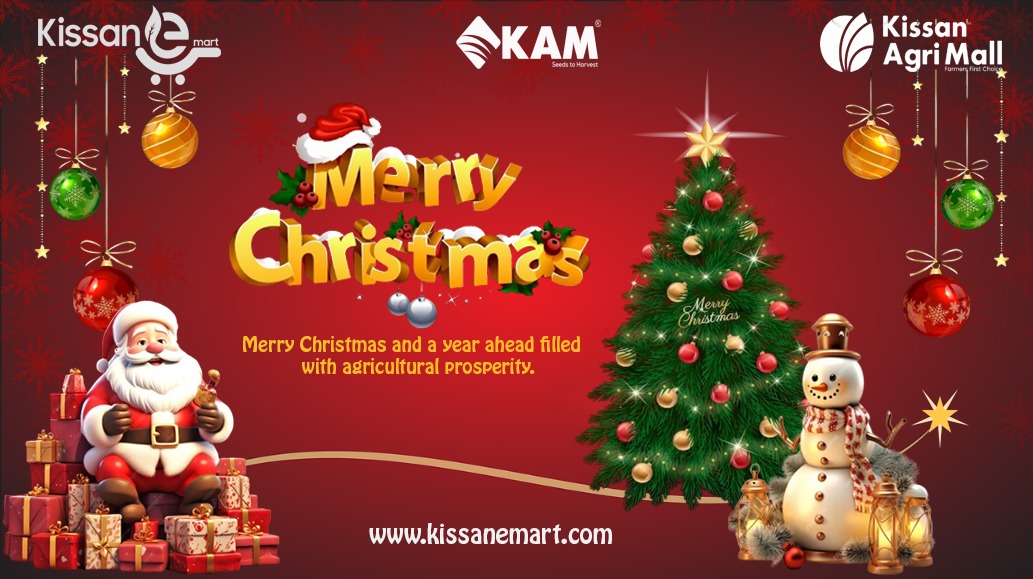 Wishing you a Christmas filled with the joy of the season and the satisfaction that comes from tending to the land. May the new year bring you even greater success in your farming endeavors.

.
.
.

#christams #agriculture #merrychristmas #famers #kissanagrimall #kissanemart #kam