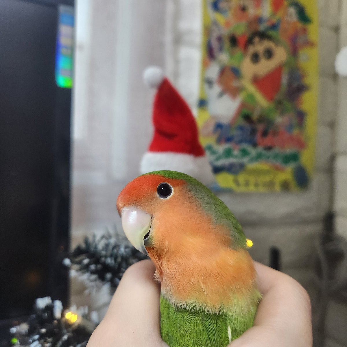 해피는 해피해🧡 tweet media