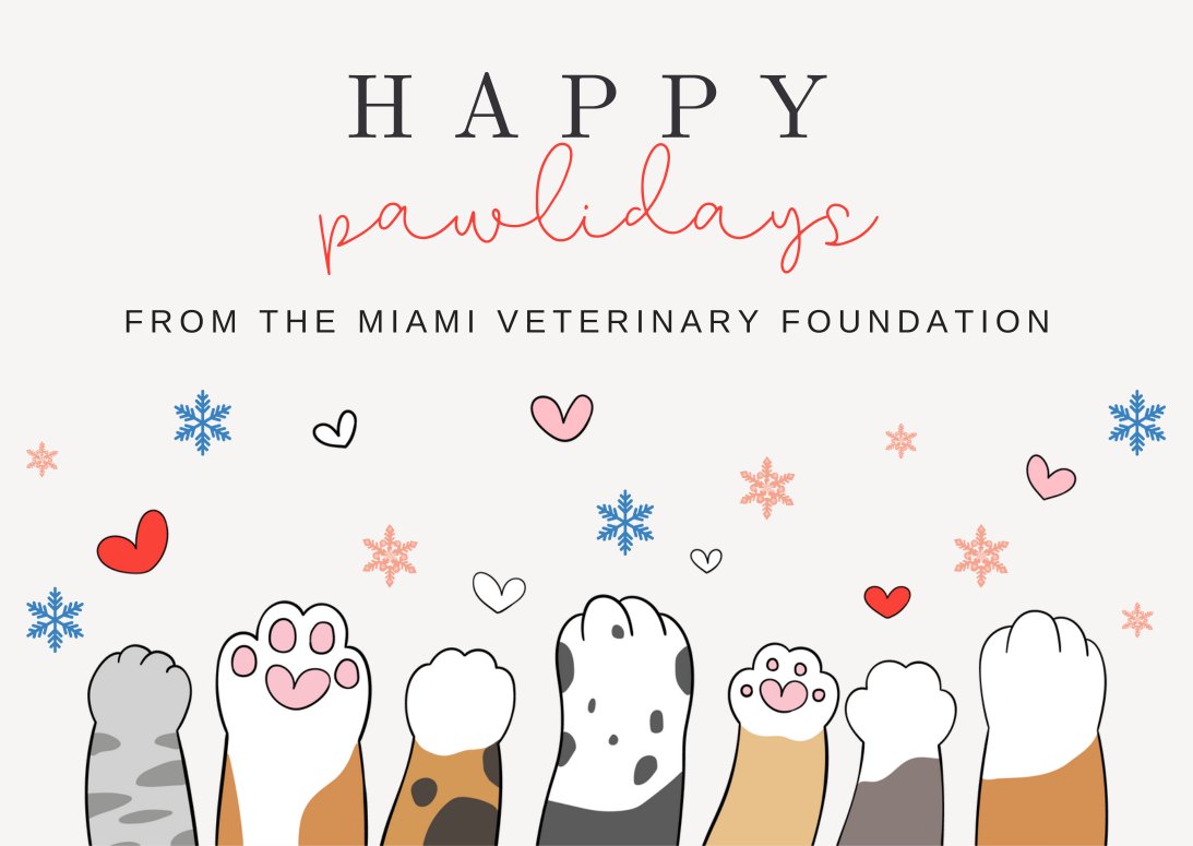 MiamiVetFoundation tweet media