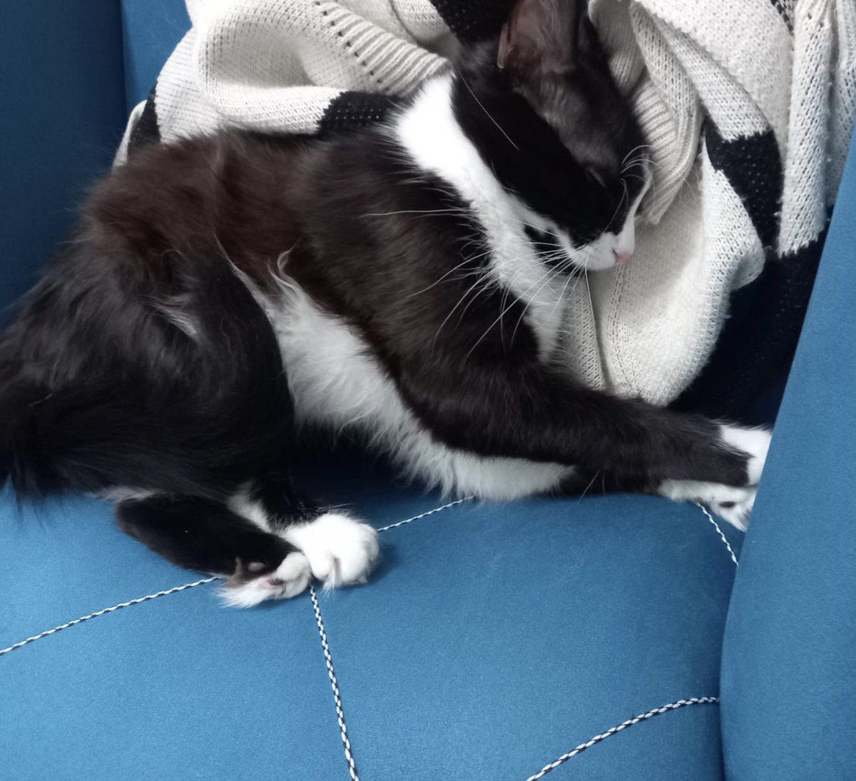brcy02's tweet photo. @elmyraaaa Hem de çok güzel tutarlar 🥰 https://t.co/T1V9AhTBz3