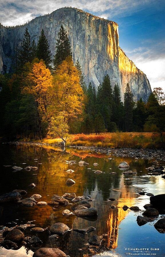 ech_idol's tweet photo. Sông Merced, Vườn quốc gia Yosemite, California, Hoa Kỳ.
📷 Nhiếp ảnh Charlotte Gibb https://t.co/rgWi9nS3Rn