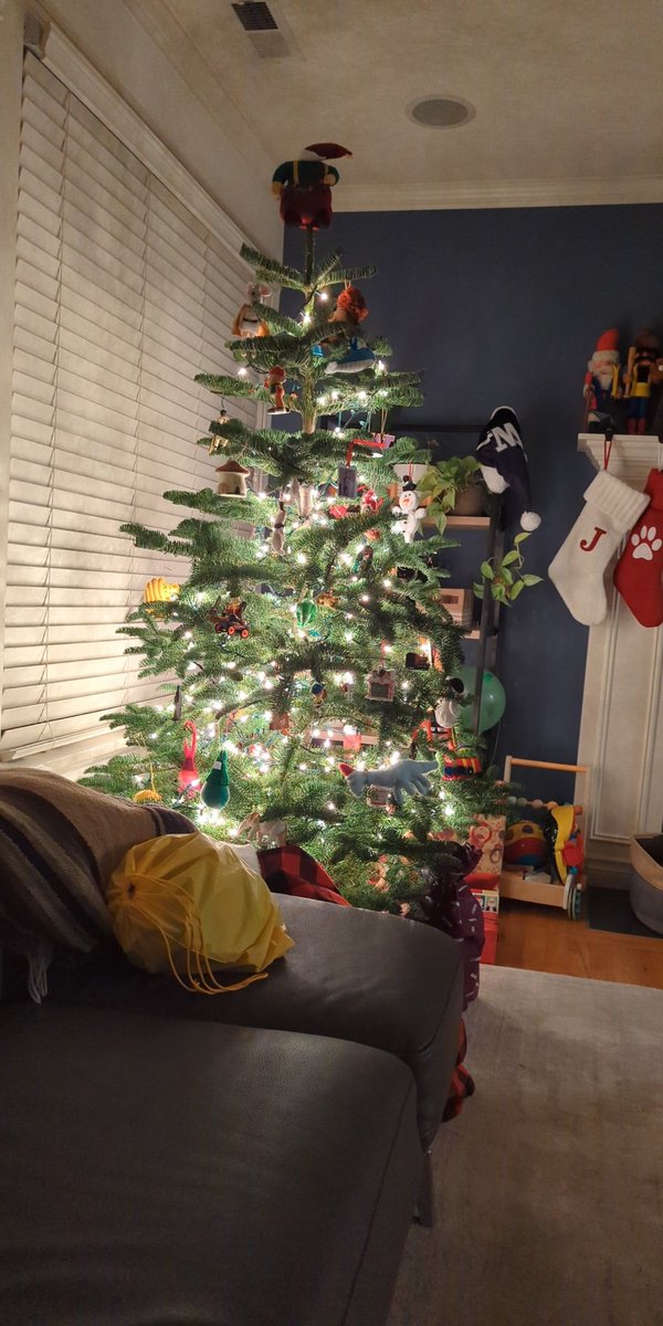 Jeremy Stern tweet media