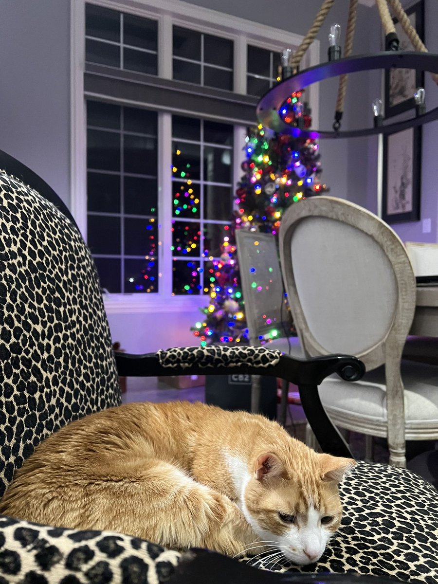 Patiently waiting for Santa in the Singh household. @uindyhound do you know his ETA? We are a bit tired. Merry Christmas to all! @uindy #Christmas2023 #UIndyWow