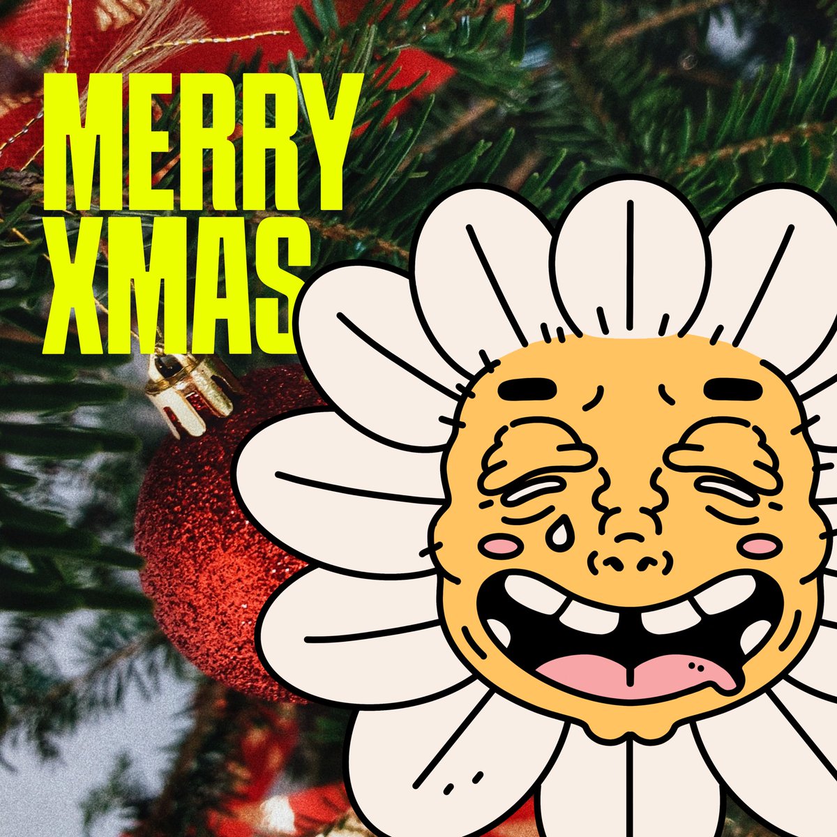 Happy holidays from our SHY family to yours 

🎄❤️