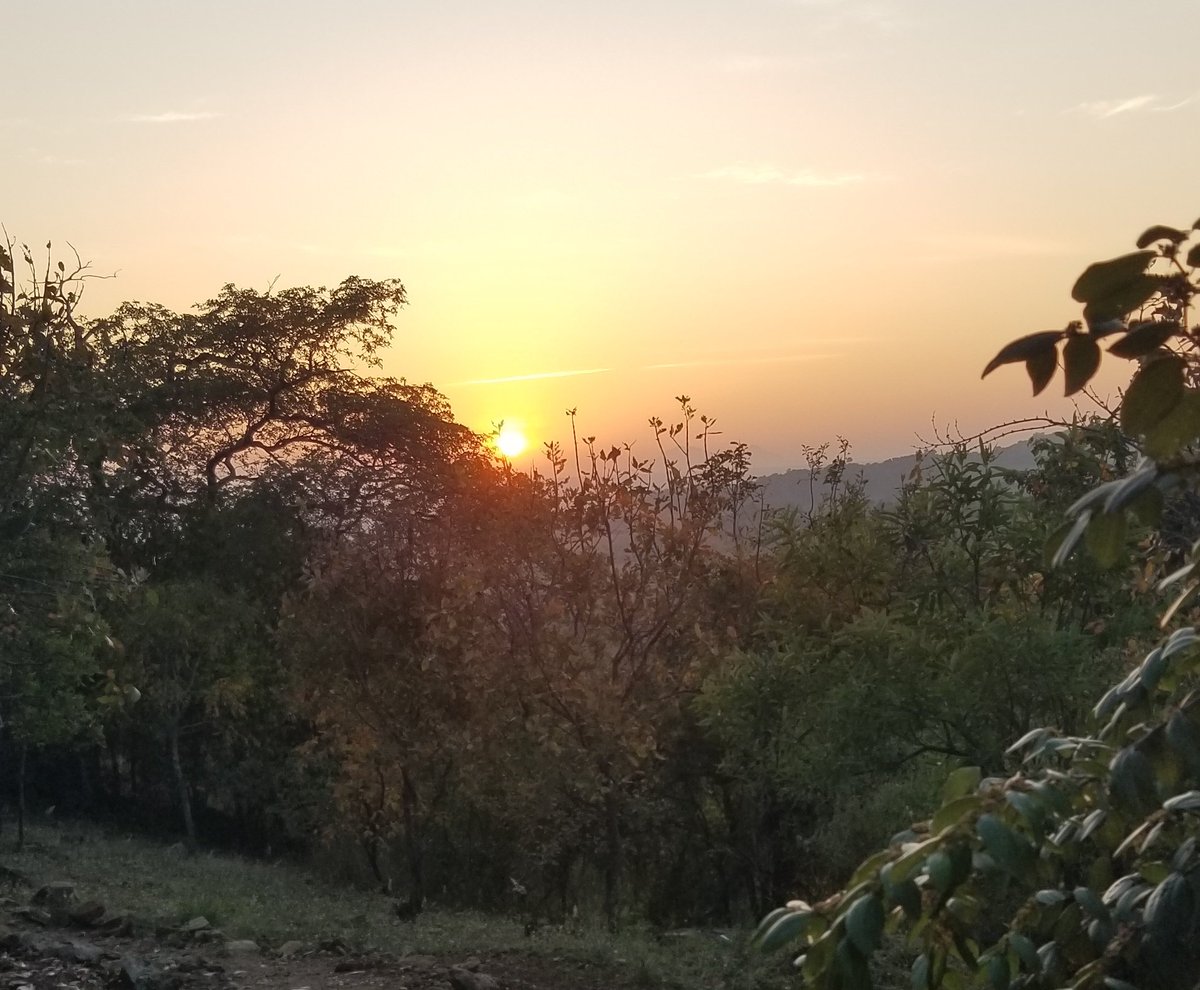 SamuelP1738's tweet image. #kiddepo national park sunrise hit different  today😎
#trave #Tourism #christmas