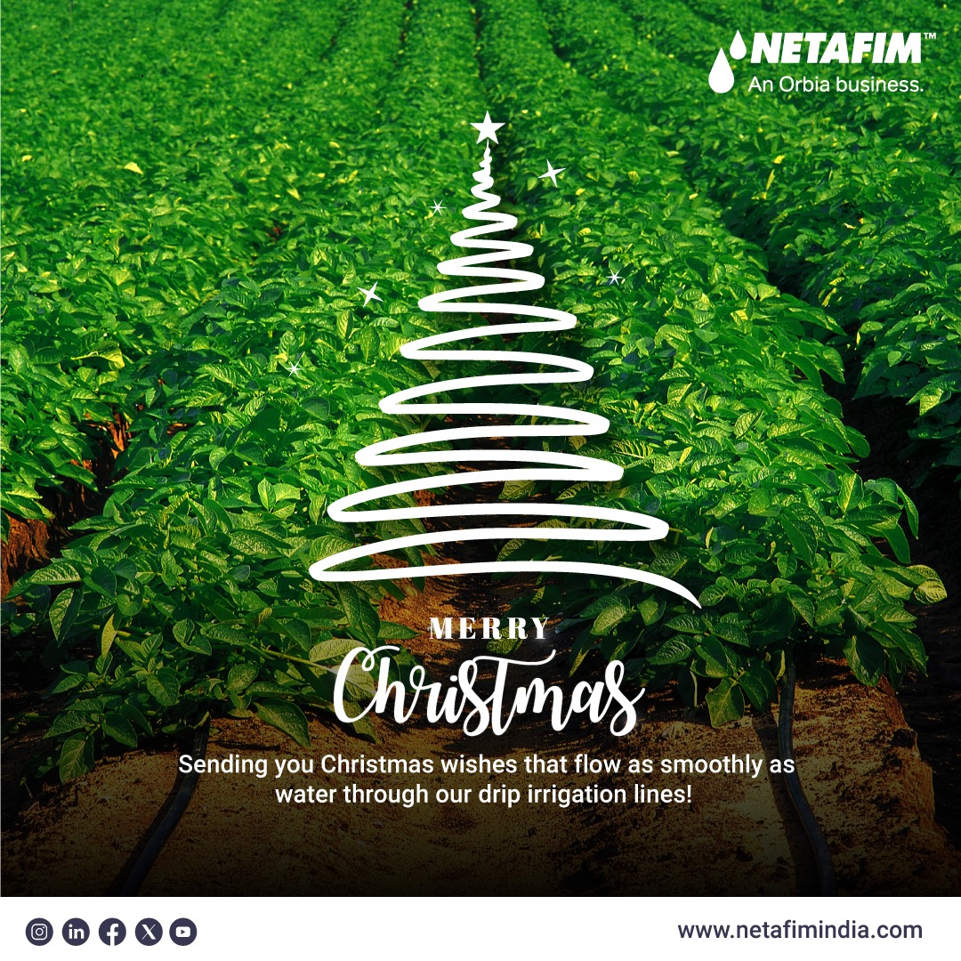 NetafimIndia's tweet photo. Sprinkling Christmas cheer and blessings your way from Netafim Family! Wishing you a season filled with joy and growth. Merry Christmas!
#ChristmasWishes #DripIrrigationMagic #Agriculture #Dripline #farmers #growmorewithless https://t.co/yrauT343Dp