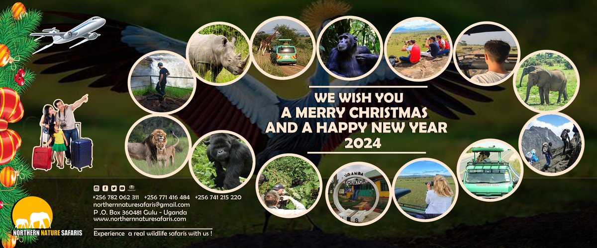 We wish you
A merry #Christmas2023 and a happy #NewYear2024