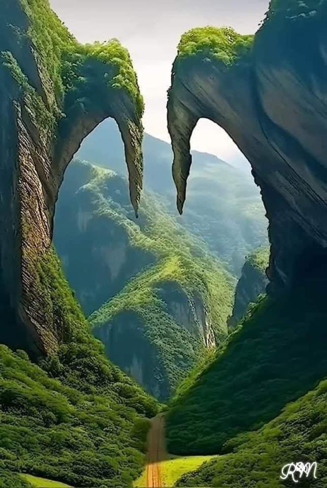EjazGujjar55's tweet photo. Have a nice day https://t.co/Uow4OVOb76