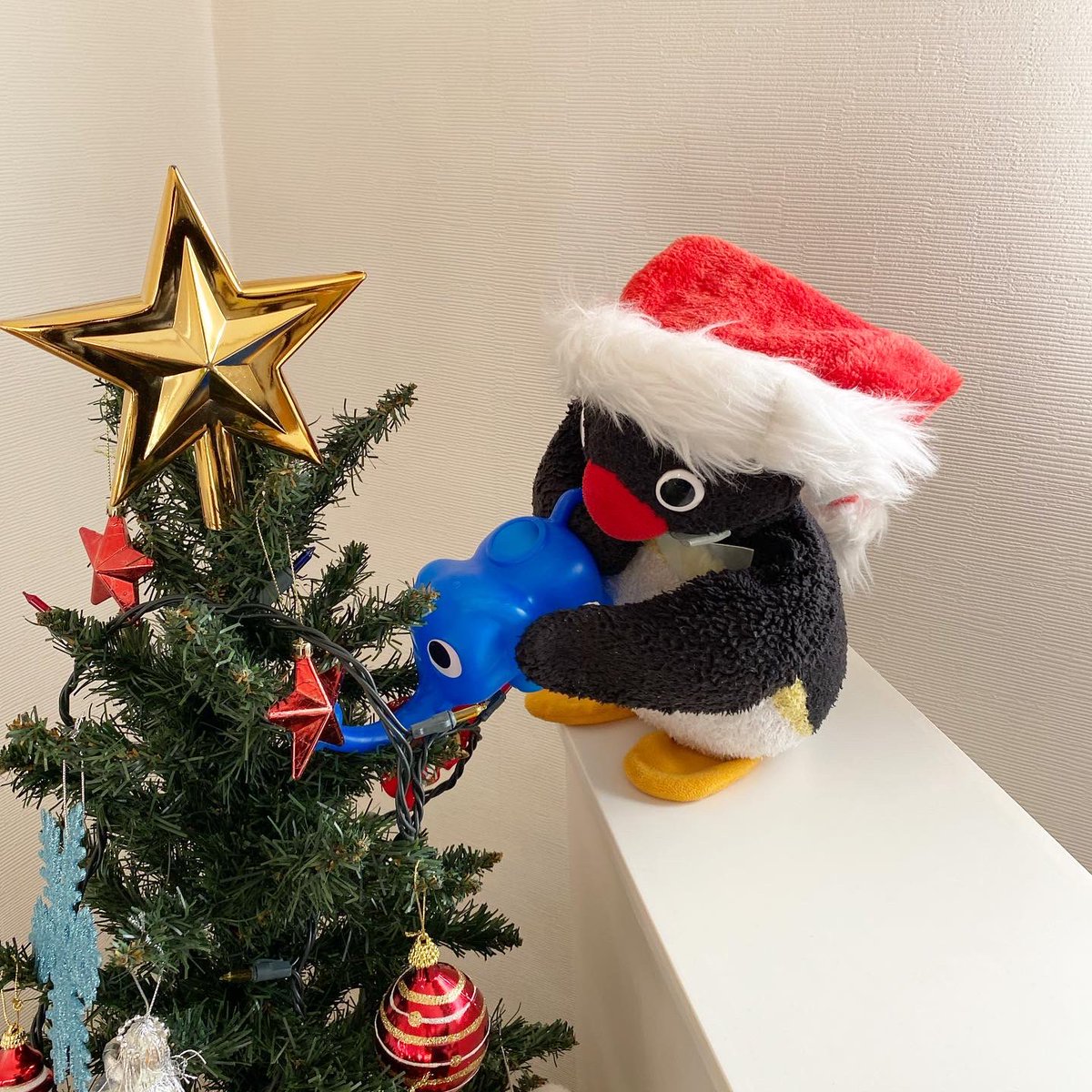 pingmyping's tweet photo. 🐧🙂🎄 https://t.co/5nrUFzkemR