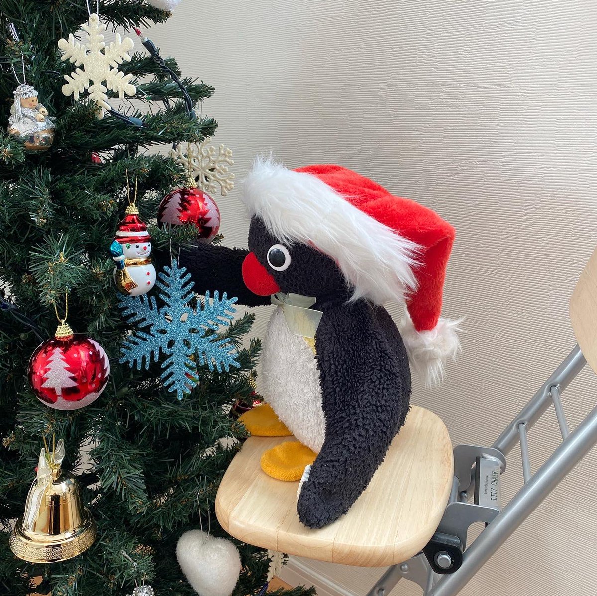 pingmyping's tweet photo. 🐧🙂🎄 https://t.co/5nrUFzkemR