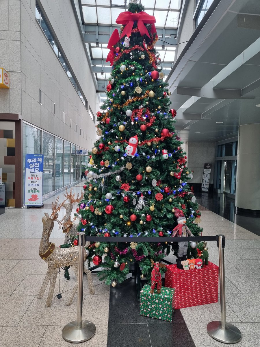 Merry Christmas 🎄☃️

모두 모두 행복한 
크리스마스 보내세요 ❤️

#모짜빈 #문네모 #문애옹 #걍냥콩 #엠여우 #찐퍼피