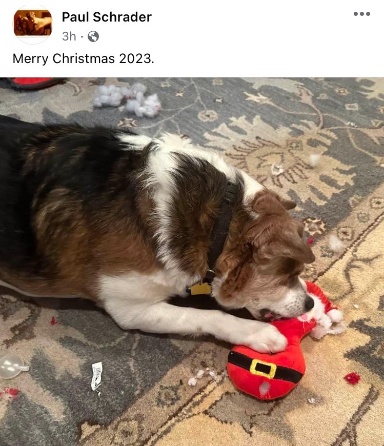 paul schrader's facebook posts tweet media