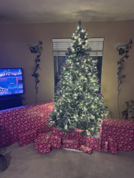 Santa came! 🎅🏻🎄 This is all for my mom. 😅 https://t.co/ck5xkT1APr<a href="/tag/shows"class="tags"><span>#shows</span></a><a href="/tag/cam"class="tags"><span>#cam</span></a><a href="/tag/skype"class="tags"><span>#skype</span></a>
