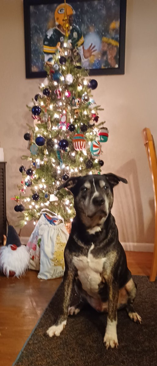 Buddy Ralphio tweet media