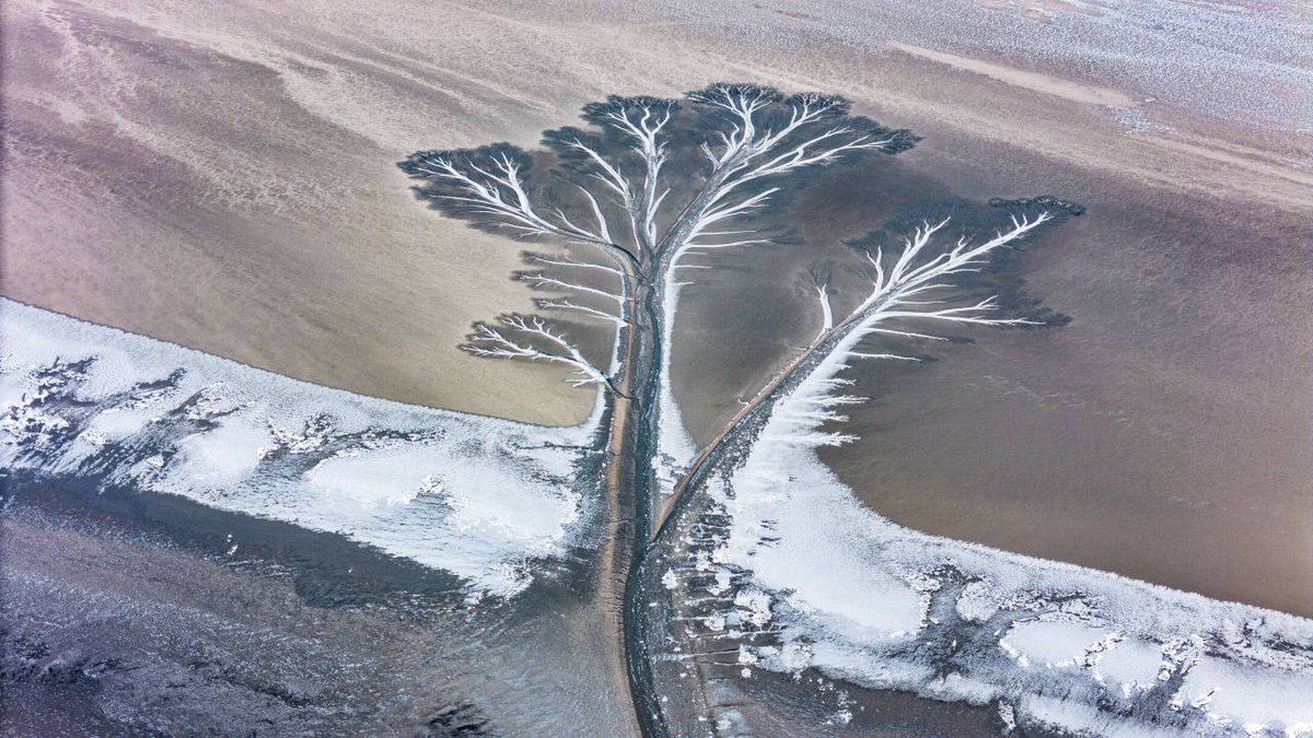 Jiascinating's tweet photo. ❄️Captivating moment in #Jiaxing! The Qiantang River in Haining's Huangwan town has frozen due to the strong and cold air, revealing the unique #beauty of iced #tidaltrees. #BeautifulJiaxing https://t.co/CWZBjExNyN