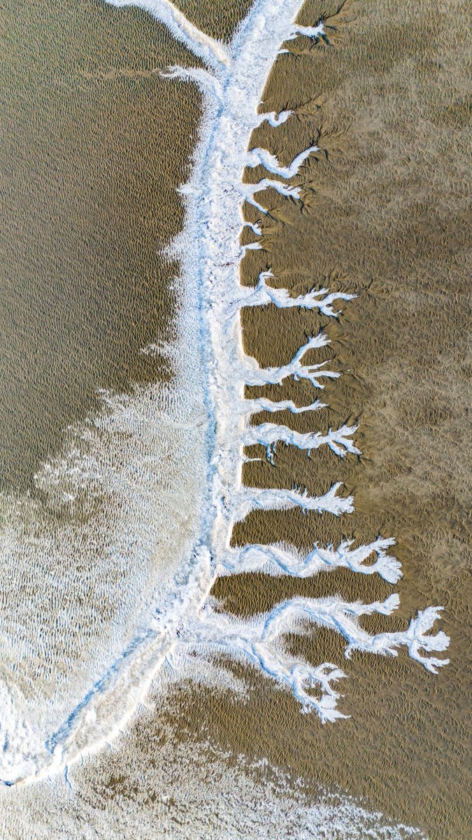 Jiascinating's tweet photo. ❄️Captivating moment in #Jiaxing! The Qiantang River in Haining's Huangwan town has frozen due to the strong and cold air, revealing the unique #beauty of iced #tidaltrees. #BeautifulJiaxing https://t.co/CWZBjExNyN
