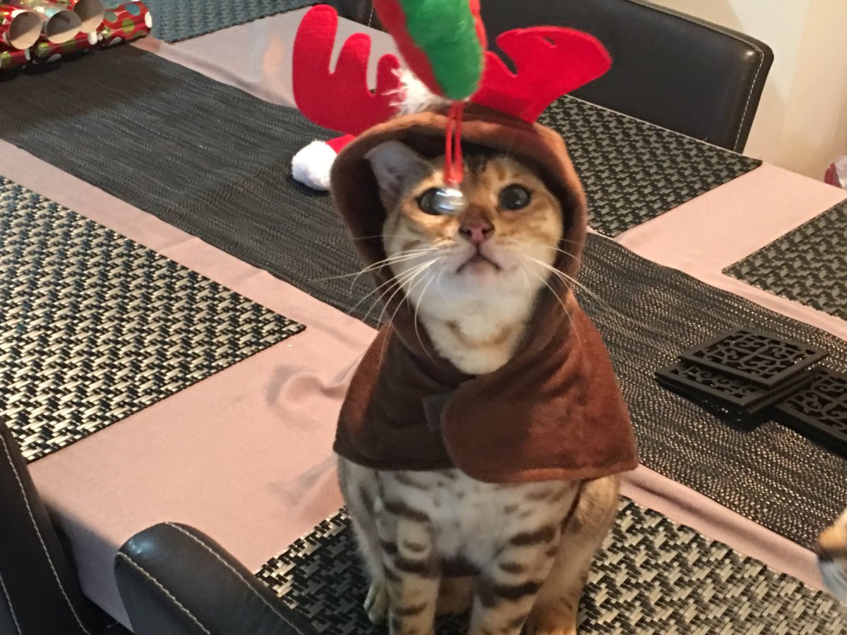Merry Christmas everyone 🎄🥳🎅🏻🎁🍾🥰🎉🤶🏻🎊🎄