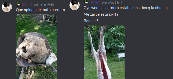 f_zvrs's tweet photo. se volvio real https://t.co/Ol5guuEBFV