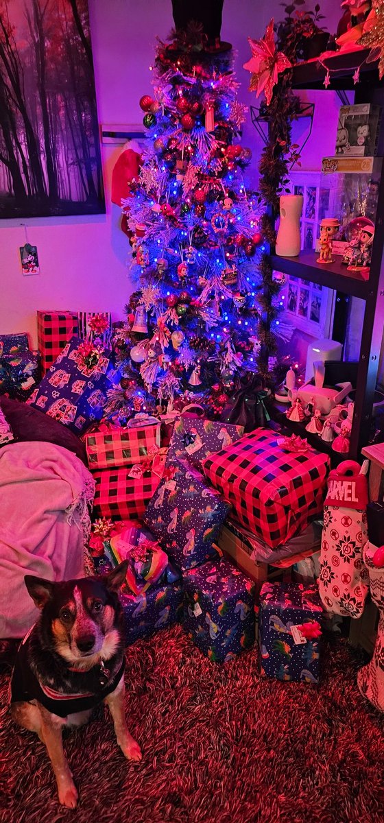 TheLostDrake tweet media