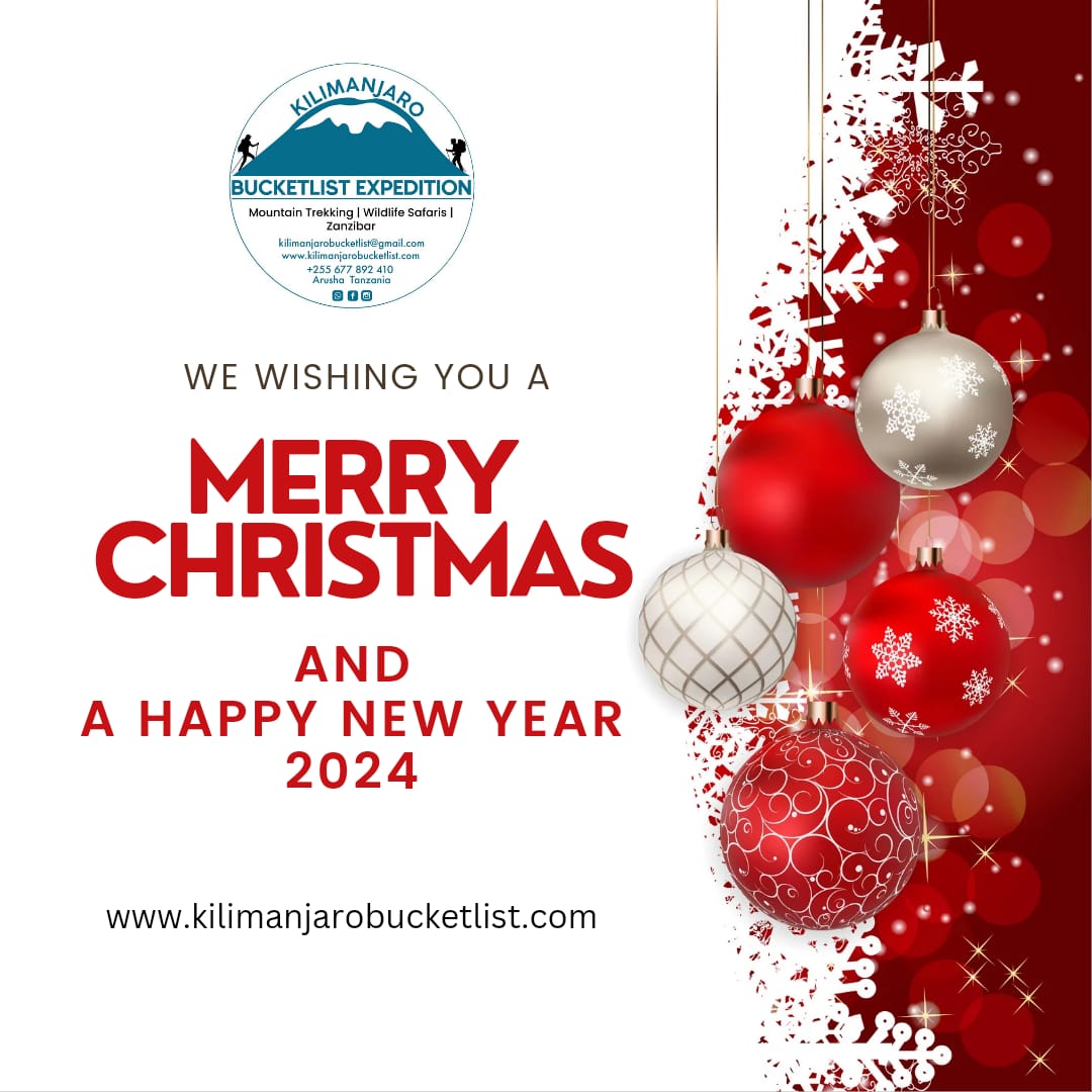 We wish you Merry Christmass and Happy New Year in advance.
Santa🎅🏻is giving you a discount of up to 30%🎄 
You are welcome to book with us
For more informations and booking

WhatsApp +255677892410
𝐄𝐦𝐚𝐢𝐥 𝐮𝐬: kilimanjarobucketlist@gmail.com
Website: kilimanjarobucketlist.com