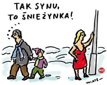 MagdaMarrkefka's tweet image. Jeszcze wczorajszego nie strawiłam, a za chwilę następne trzeba szamać 🙈 Święta to trudny czas pod wieloma względami.
Zatem pojemnych żołądków kochani 😁 i à propos ww. narządu - może by tak gorzką żołądkową, zwaną rudą wieczorem...? 🤔
#Xmas #Christmas #święta #sałatka #ruda