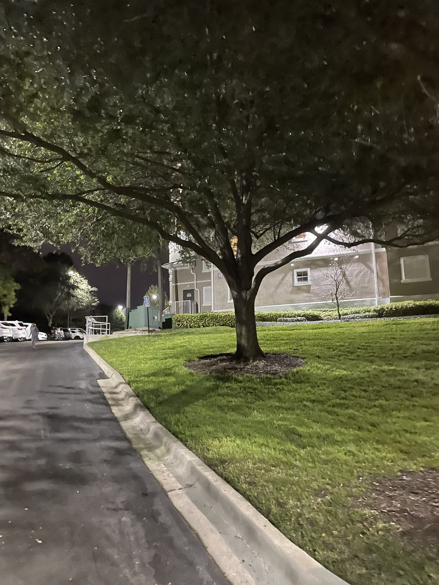 sambazapodcast's tweet image. Merry Christmas 🎄 Wasambazaji!!!! #podcasts #sambaza #sambazapodcast #فلسطين_الان #kenya #podcasting #allyouneedislove #LISA #MerryXmas