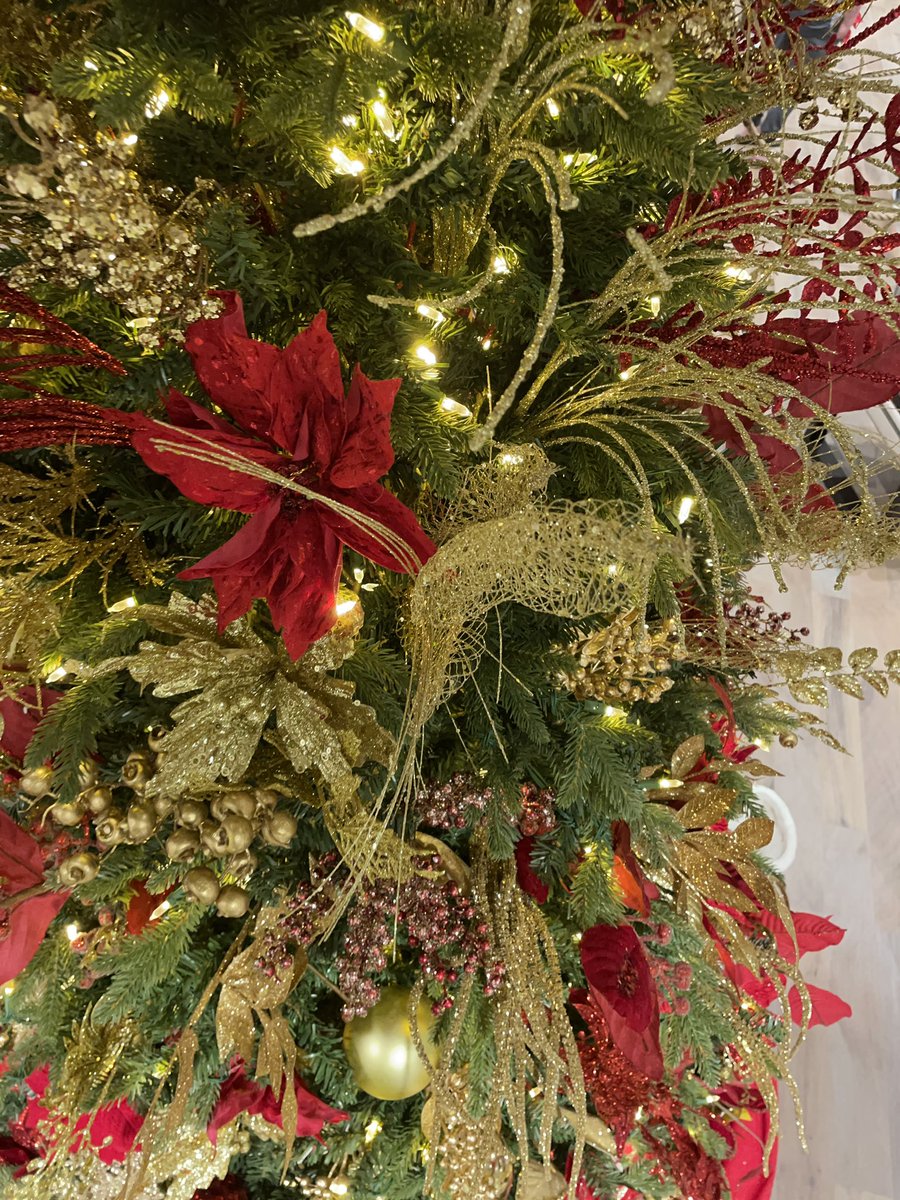 sambazapodcast's tweet image. Merry Christmas 🎄 Wasambazaji!!!! #podcasts #sambaza #sambazapodcast #فلسطين_الان #kenya #podcasting #allyouneedislove #LISA #MerryXmas