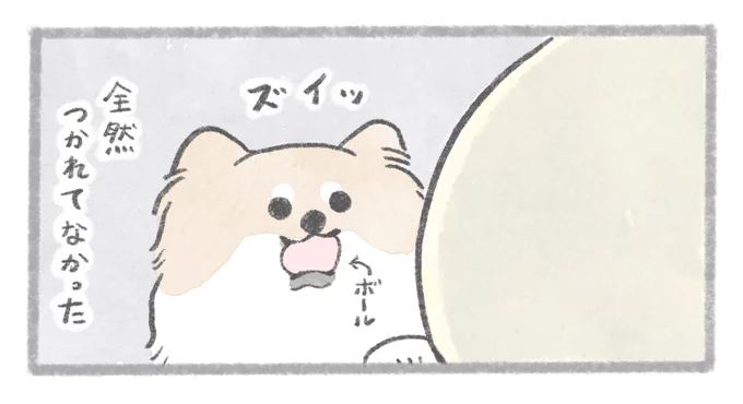 #うちのむっくはいつも楽しそう  最新話が更新されました!  むっく、トルコアイス屋さんになれる。  漫画はこちらから↓ https://www.wanibookout.com/81691/