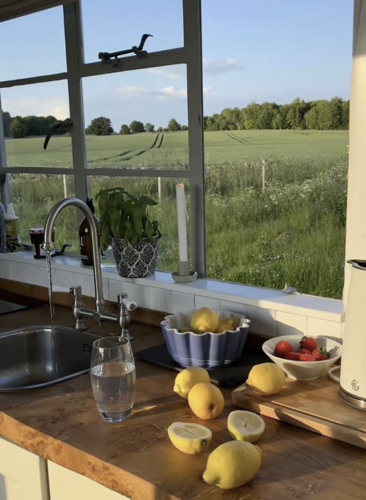 اخضِرار 🍃 (@picgreen) on Twitter photo 