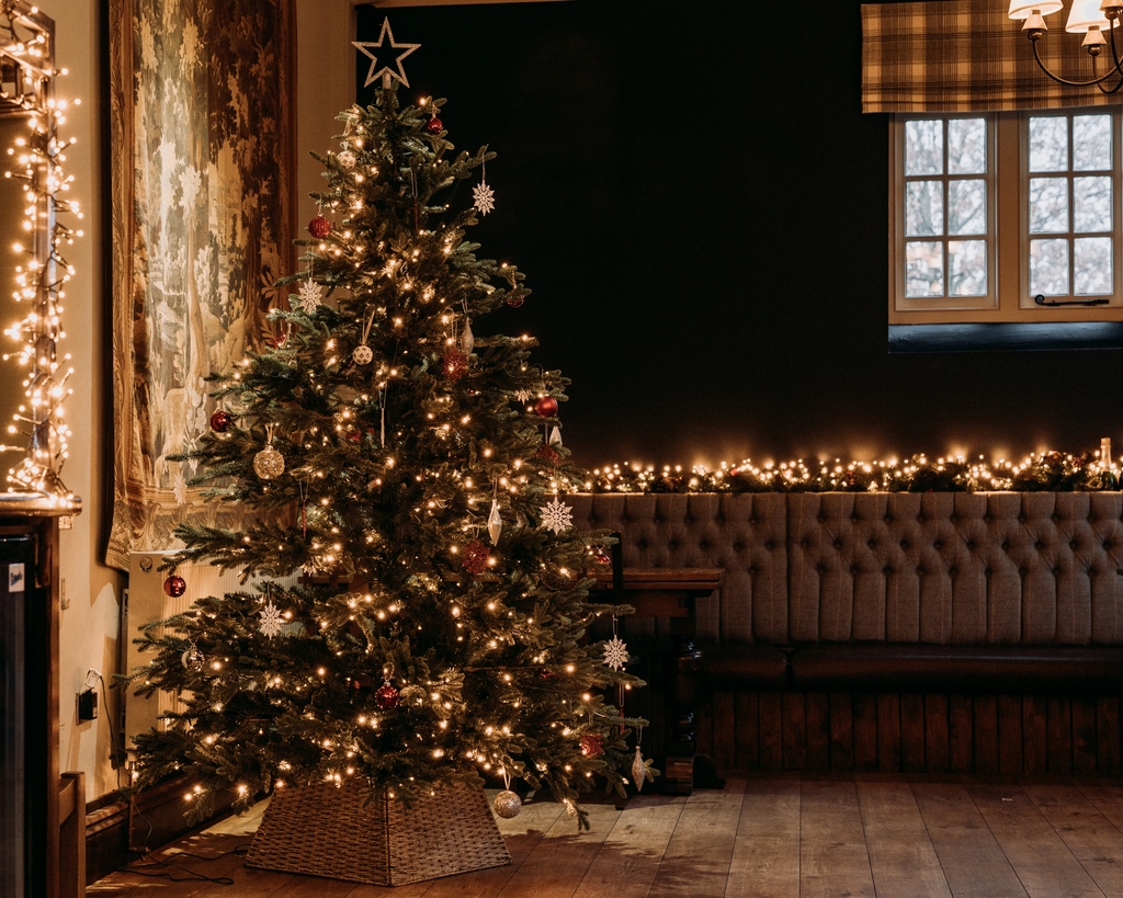 doganddoublet's tweet image. Merry Christmas form us all here at the Dog and Doublet! ✨

#DogAndDoubletSandon #EscapeToTheCountryside #RuraLife #BritishPubFood #CountryPubStyle #Christmas #MerryChristmas #Festive #December #FeelingFestive #ChristmasDay